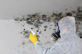 Mold Removal for HVAC Installations in Spring Lake, NJ